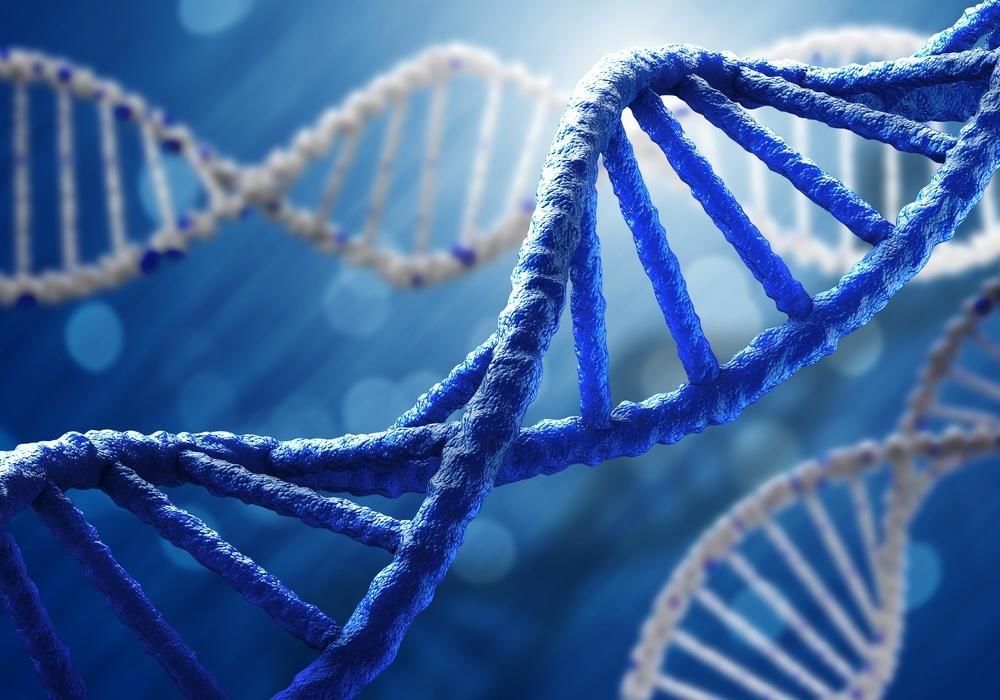 حل لغز تنظيم الحمض النووي الريبوزي الذي بقي لفترة طويلة