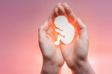 أسباب الإجهاض في الثلثين الأول والثاني من الحمل - عيوب في صبغيات (كروموسومات) الجنين - وحدة بناء الحمض النووي - تطور خلايا الجسم