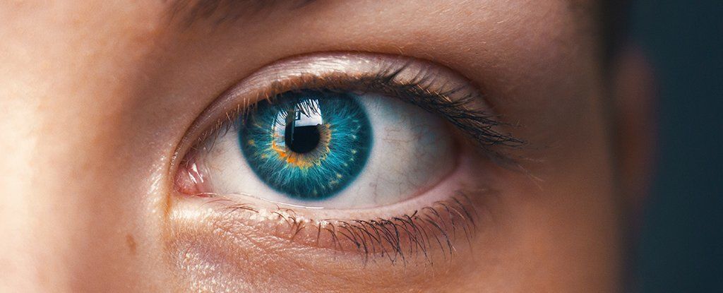 لقد اكتشف العلماء ظاهرة بصرية جديدة تمامًا في العين البشرية