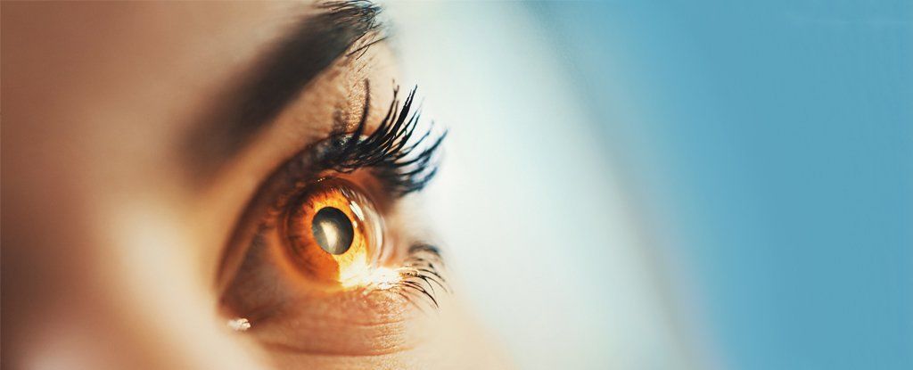 لأول مرة قام العلماء بطباعة ثلاثيّة الأبعاد 3D لجزء هام من العين البشرية