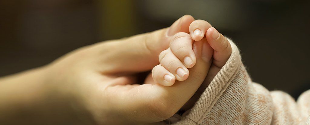 دراسة جديدة تُبيِّن أنّ الصِبغيّين (X وY) وحدهما لا يحدّدان جنس المولود