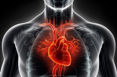 قصور القلب: الاسباب والأعراض والتشخيص والعلاج عدم قدرة القلب على ضخ الدم إلى جميع أنحاء الجسم بشكل صحيح التدخين التقدم بالعمر