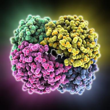 علماء يطورون بروتينا جديدا يحفز التدمير الذاتي للخلايا السرطانية