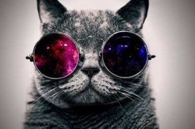 إنقاذ قطة شرودنجر القفزة الكمية المستوى الكمي الانظمة الكمومية التراكب الكمي الكيوبيت عداد غايغر شرح تجربة قطة شرودنجر الجسيمات دون الذرية