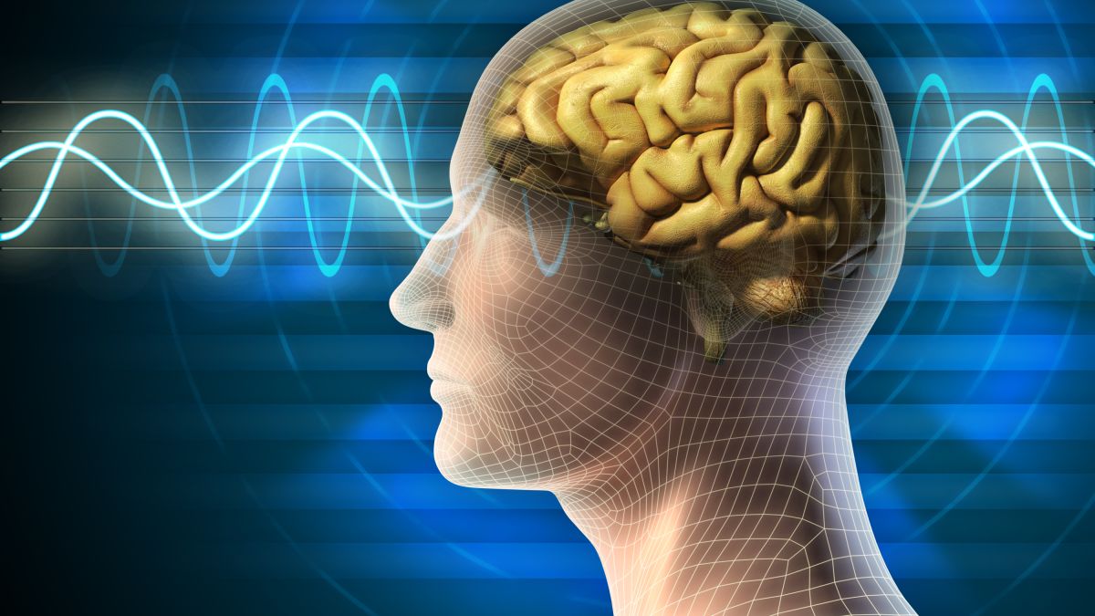 التحفيز الكهربائي للدماغ قد يحسن الذاكرة لدى كبار السن