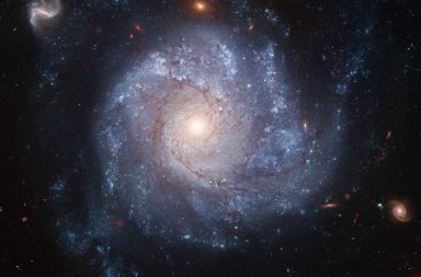 المستعرات العظمى هي انفجارات هائلة في الكون، تنشأ بعد موت أحد النجوم. اكتشف العلماء حديثًا نجمًا يرافق المستعر الأعظم (2013ge) ما الذي يخبئه هذا الاكتشاف؟