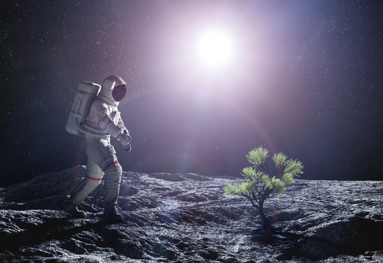 هل توجد حياة على سطح القمر؟ رحلة ناسا القادمة ستكشف لنا ذلك