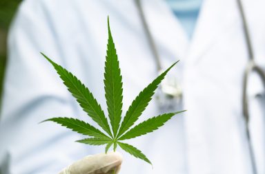 أشارت إحدى الدراسات المنشورة مؤخرًا إلى أن تعاطي الحشيش يمكن أن يجعل المتعاطي أكثر عرضة للذكريات الزائفة. اختبار الذكريات تحت تأثير الحشيش