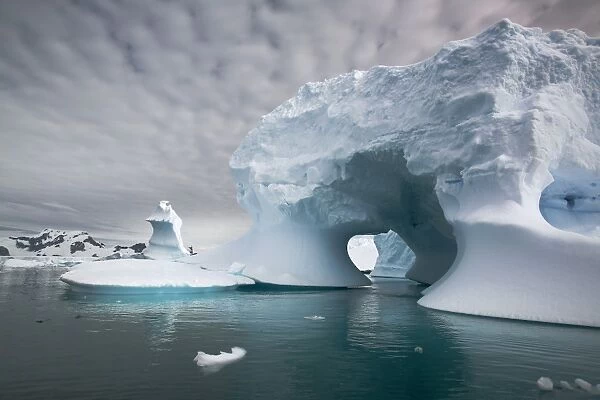 تغير المناخ وذوبان الجليد يؤديان إلى موت آلاف البطاريق في القطب الجنوبي!