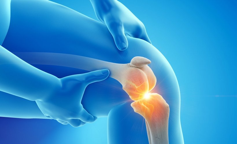 إعادة نمو غضروف الركبة دراسات واعدة على الحيوانات أنا أصدق العلم