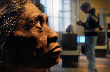 وجد فريق بحث مشترك أندونيسي أسترالي هيكلًا عظميًا أنثويًا شبه مكتمل لإنسان صغير عاش قبل 80,000 سنة تقريبًا. تعرف على إنسان فلوريس