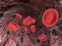 فقر الدم ( الأنيميا ) الأسباب و الأعراض و العلاج