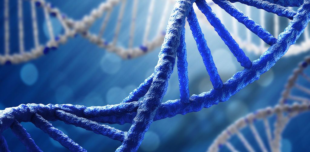 الحمض النووي، ماهيته، هيكله، واكتشافه