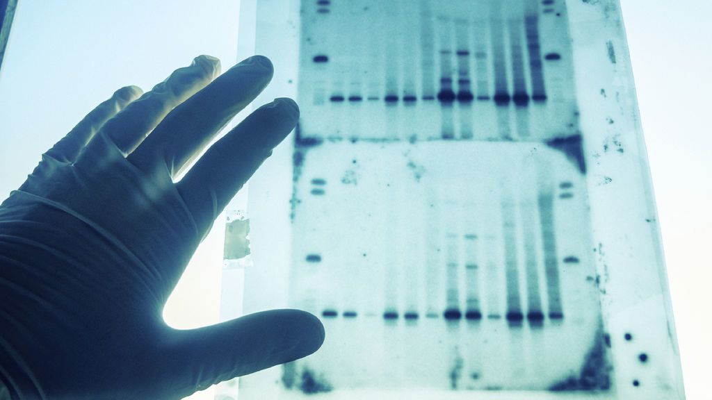 هل يمكن الكشف عن هويتك من خلال الحمض النووي حتى لو لم يسبق لك إجراء اختبار الحمض النووي من قبل ؟