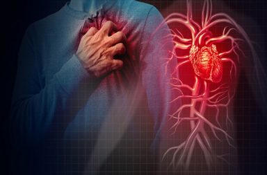 أُطلقت دراسة جديدة في السابع من أيلول ذُكر فيها أن البالغين المتعاطين للحشيش أكثر عرضة للإصابة بالنوبات القلبية من غيرهم. أضرار تعاطي الحشيش