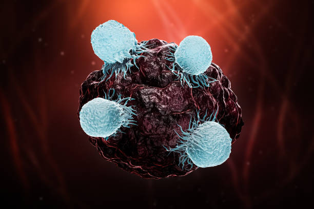 أمل جديد لمرضى السرطان: علاج قائم على الخلايا التائية القاتلة