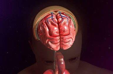 سحايا الدماغ هي ثلاث طبقات من الأغشية التي تغطي وتحمي الدماغ والنخاع الشوكي. مكونات سحايا الدماغ؟ ما وظيفة سحايا الدماغ؟ ما الأمراض التي تصيب سحايا الدماغ؟