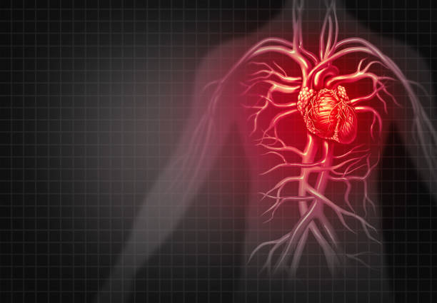 عيوب القلب الخلقية: الأسباب والعلاج - وجود خلل في القلب عند الولادة - جهاز الموجات فوق الصوتية في أثناء الحمل - ألم في الصدر