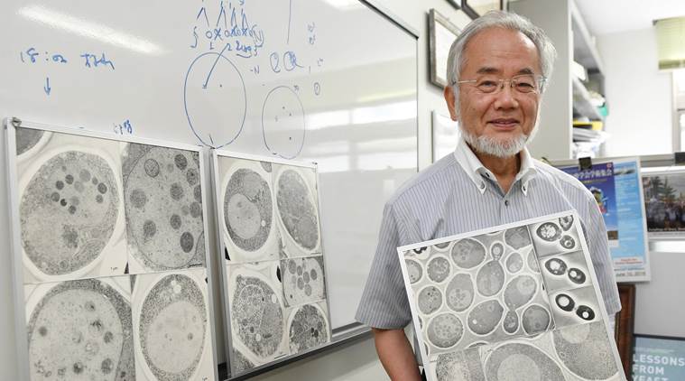 يوشينوري اوسومي : الحائز على جائزة نوبل للطب والفيزيولوجيا لهذا العام