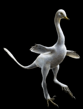 ديناصورات برمائية وتشبه الطيور؟ قصة اكتشاف مثير توصل له العلماء