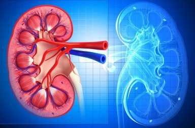 التهاب الكلية الأنبوبي الخلالي Tubulointerstitial Nephritis الأسباب اولأعراض ووالتشخيص والعلاج القصور الكلوي الفشل الكلوي