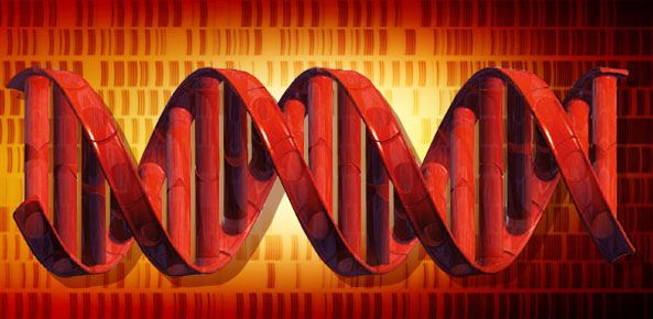 هل يكون الحمض النووي هو وحدة التخزين المقبلة ؟