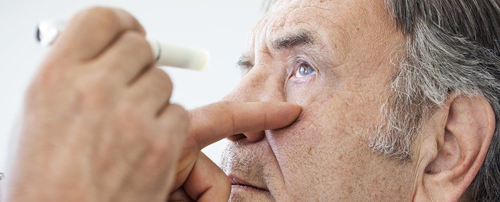 اكتشف العلماء رابطًا جوهريًا بين أمراض العين ومرض ألزهايمر