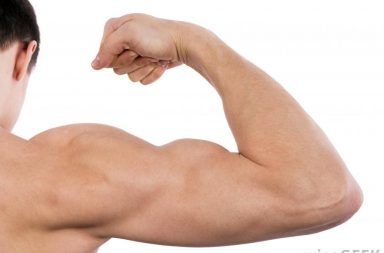 أكبر عضلة في جسم الإنسان - أقوى عضلة في الجسم