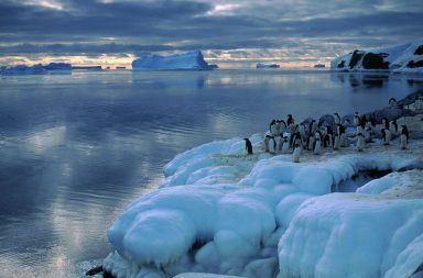 حقائق رائعة عن المحيط المتجمد الجنوبي معلومات جميلة لم تكن تعرفها من قبل عن القطب الجنوبي القارة القطبية الجنوبية محيط أوسترال