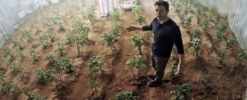 فيلم The Martian كان محقا زراعة البطاطا على المريخ ممكنة