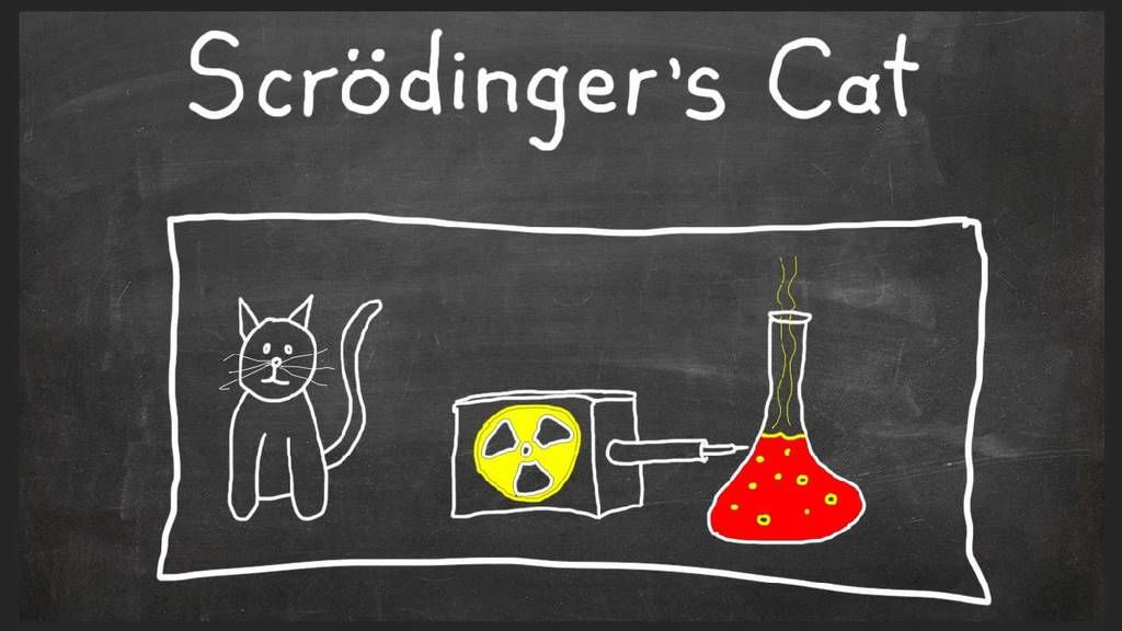 الفيزياء وراء قطة شرودينجر