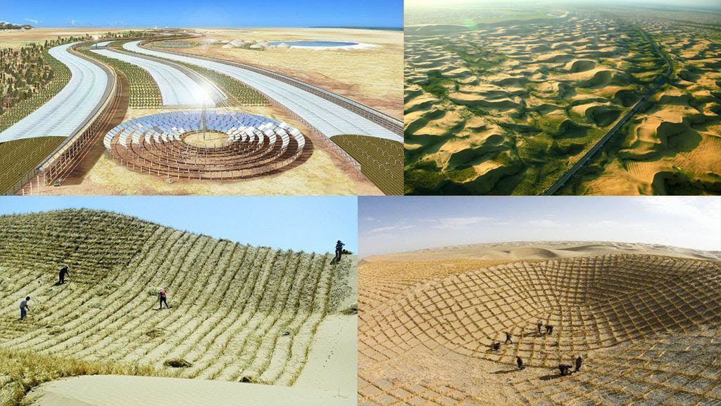شاهد كيف تقوم الصين بتحويل الصحراء إلى مروج خضراء
