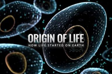 دراسة جديدة تتحدى ما قاله داروين عن بداية الحياة نظرية بداية الحياة الأولى في أعماق المحيطات شديدة الحرارة نظرية داروين حول نشوء الحياة