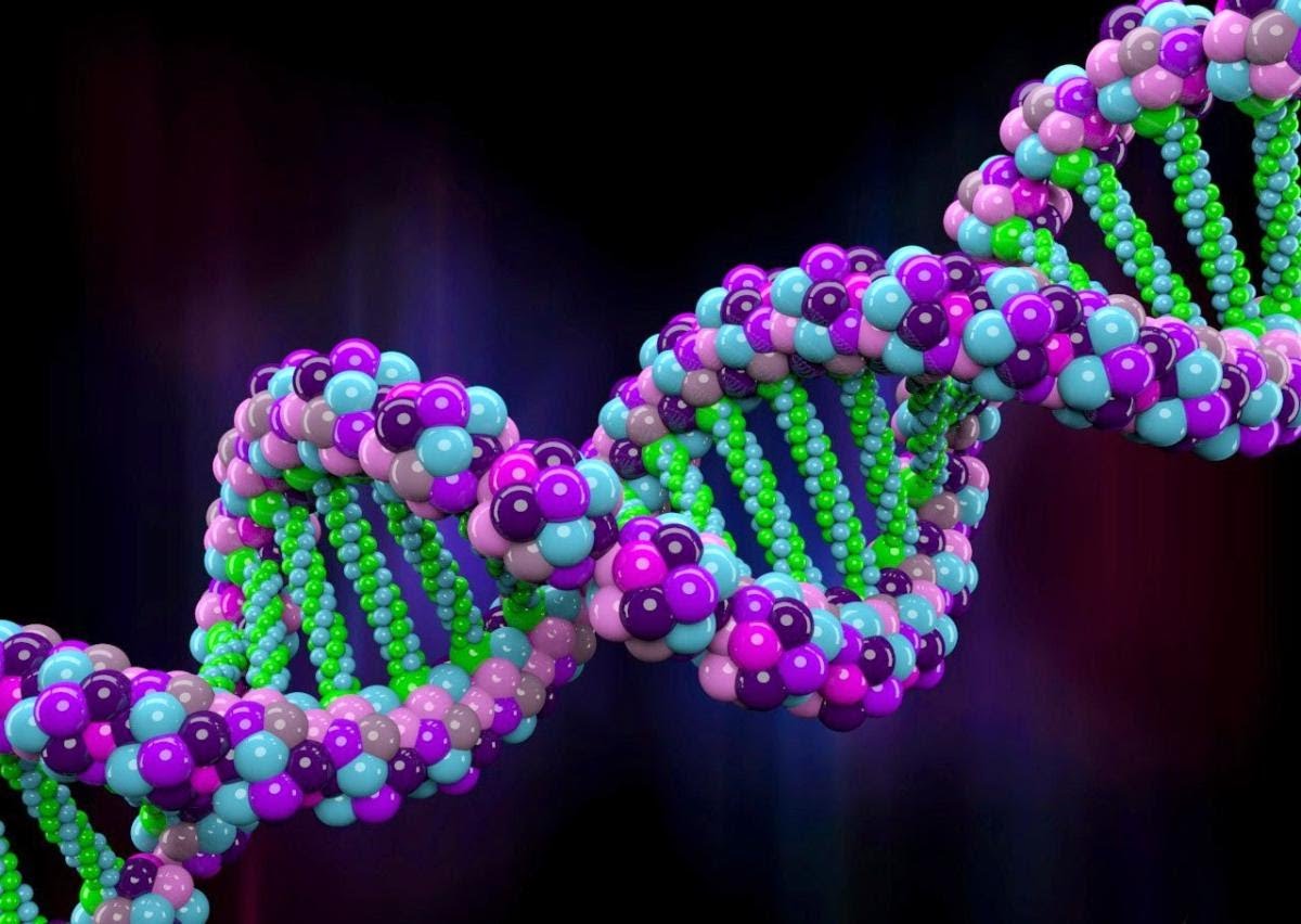 بعد ما كشف الحمض النووي ( DNA ) عن اسراره ، علماء يجمعون صورة جديدة ل البشرية !