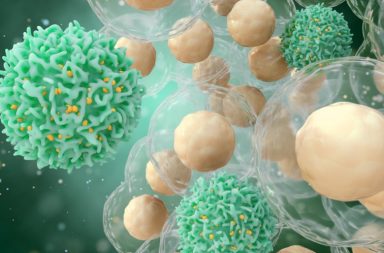 كيف يستجيب جهازنا المناعي ضد فيروس كورونا - كيفية استجابة الجهاز المناعي لأغلب الحالات المصابة بفيروس كورونا - كوفيد-19 - الاستجابة المناعية