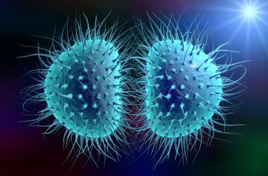 التهاب السحايا البكتيري Bacterial Meningitis الأسباب والأعراض والتشخيص والعلاج الوقاية الأغشية المحيطة بالجهاز العصبي المركزي