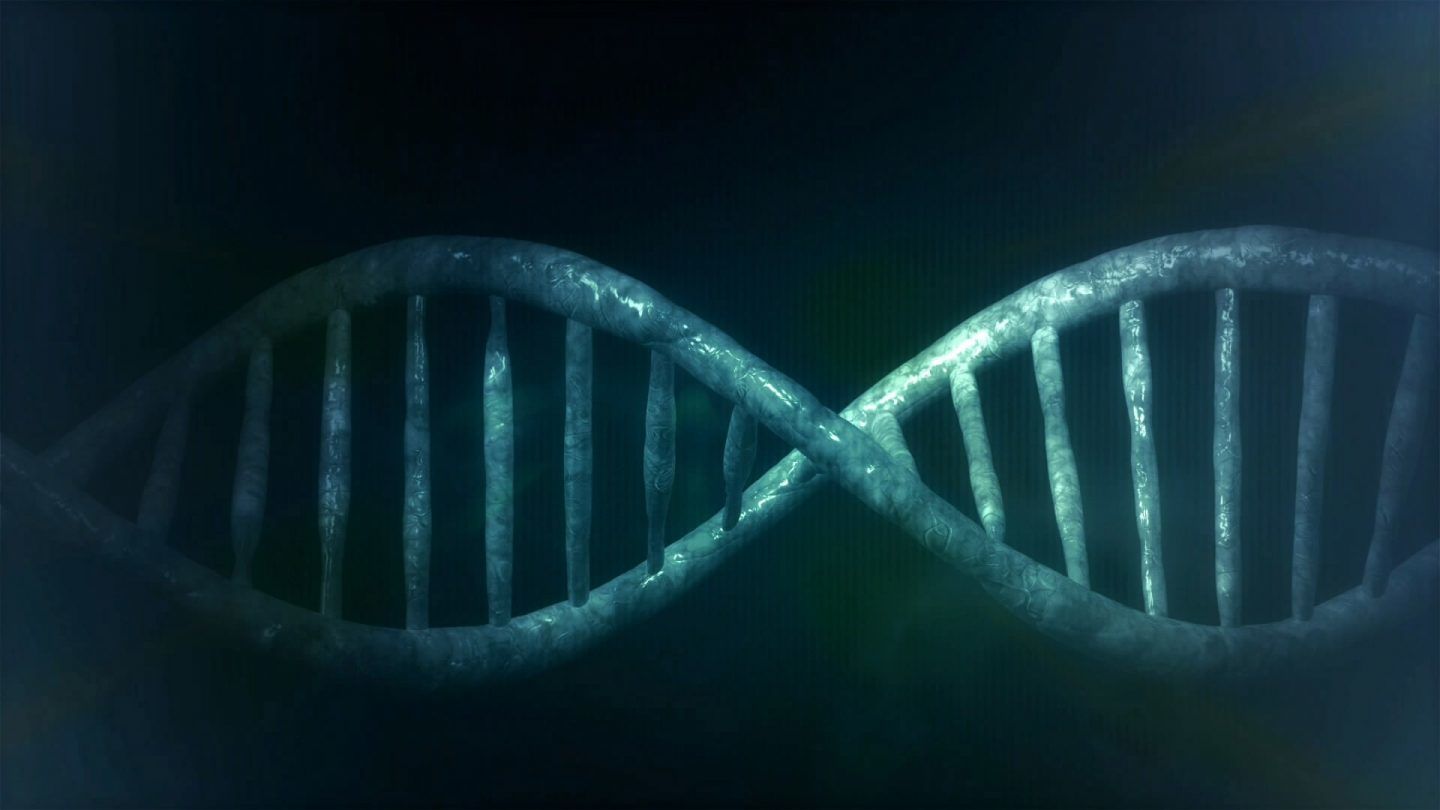الطفرات الجينية، أسبابها وآليات حدوثها