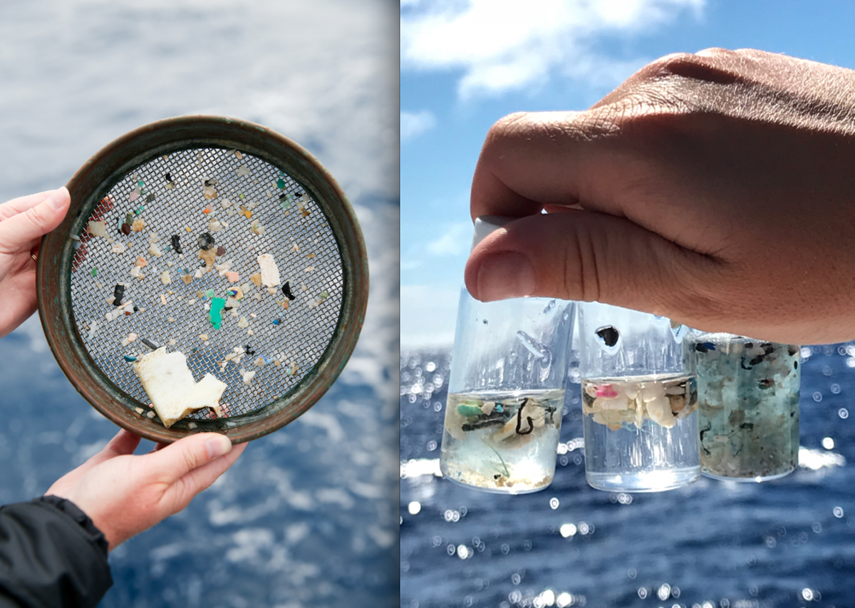 البلاستيك يغزو الكائنات البحرية والأجسام البشرية أيضًا!