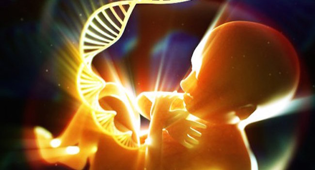 هل يجب تعديل المعلومات الوراثية لدى الإنسان ؟