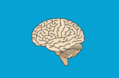 ما هي الأعصاب القحفية البالغ عددها اثني عشر عصبًا؟ - الأعصاب الحركية مسؤولة عن ضبط حركة عضلات الرأس والرقبة - الأعصاب الحسية مسؤولة عن الرؤية والشم والسمع