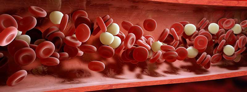 نقص العدلات: الأسباب والعلاج - اضطراب دموي يتميز بانخفاض مستوى العدلات (الخلايا المتعادلة) في الدم - أحد أنواع كريات الدم البيضاء