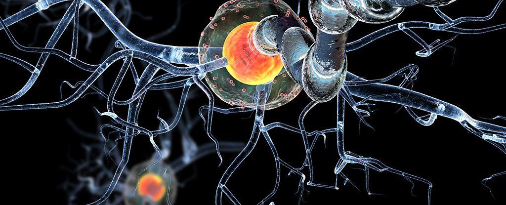 دراسة جديدة تظهر لماذا يجب عليك بالفعل الاهتمام بخلايا دماغك