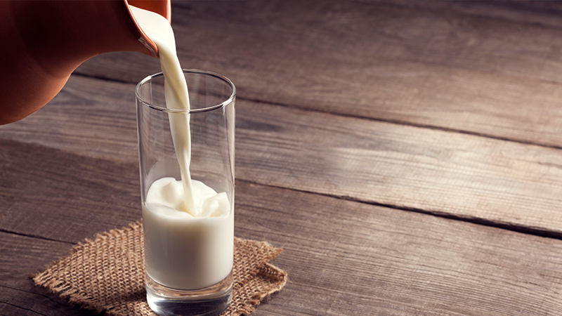 شرب البشر القدماء الحليب قبل أن يتمكنوا من هضمه - الأدلة المتعلقة بتناول البشر منتجات الألبان - كيف تمكن البشر من هضم الحليب في السابق