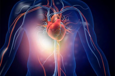 كشف العلماء عن تقنية جديدة من نوعها تساهم في علاج خلايا القلب العضلية بعد تعرض الجسم لنوبة أو احتشاء عضلة قلبية. ما توابع هذا الكشف؟
