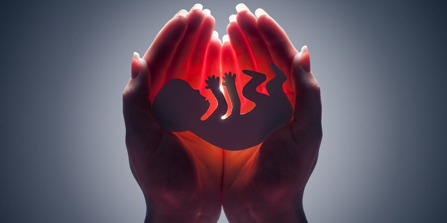 العلماء يكتشفون السبب الرئيسي للإجهاض والتشوهات الخلقية