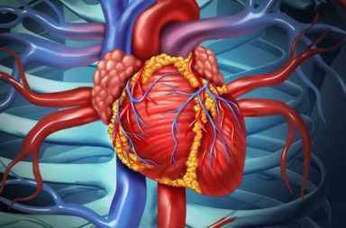 تضيق الصمام التاجي Mitral Valve Stenosis الأسباب والأعراض والتشخيص والعلاج الجانب الأيسر من القلب الشريان الأبهر الخارج من القلب