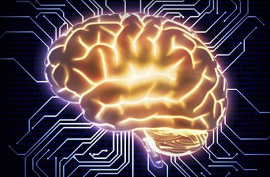 قد تفسر عمليات الدماغ الكمية سر تفوقنا على الحواسيب الفائقة حتى الآن، وترتبط تلك الوظائف بأداء الذاكرة قصيرة الأمد والإدراك الواعي