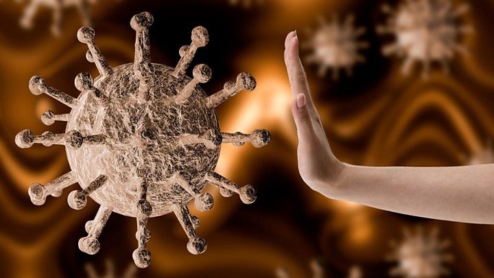 حذرنا العلماء من وباء الفيروسات التاجية قبل سنوات.. فلماذا لم نأخذ احتياطاتنا