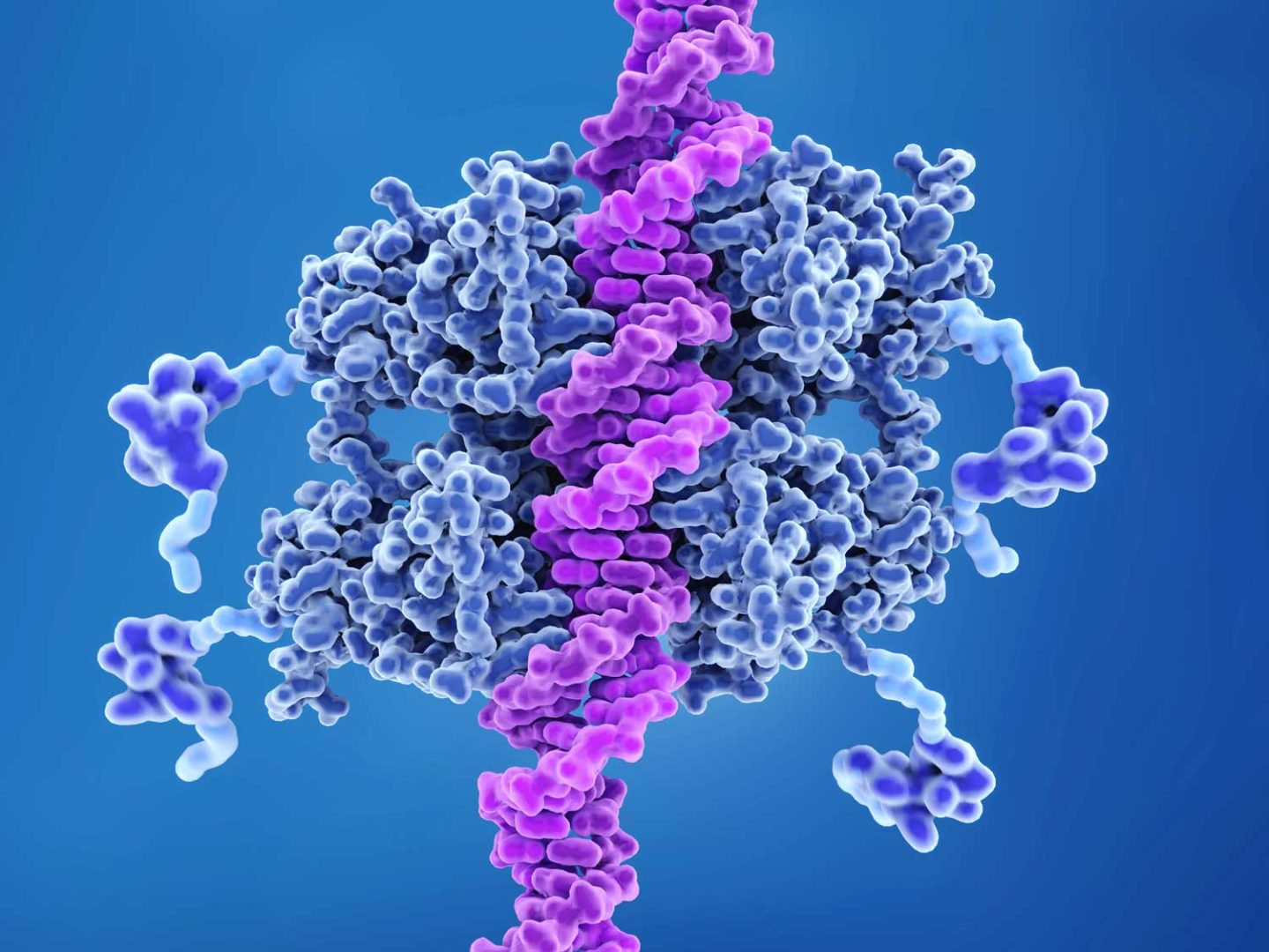 البروتين بي 53: بنيته ووظيفته وآلية عمله