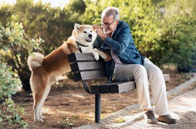 أثبتت دراسة أن امتلاك الحيوانات الأليفة يساعد على إبطاء آثار شيخوخة الدماغ لدى كبار السن الذين تزيد أعمارهم عن 65 عامًا ويعيشون وحدهم